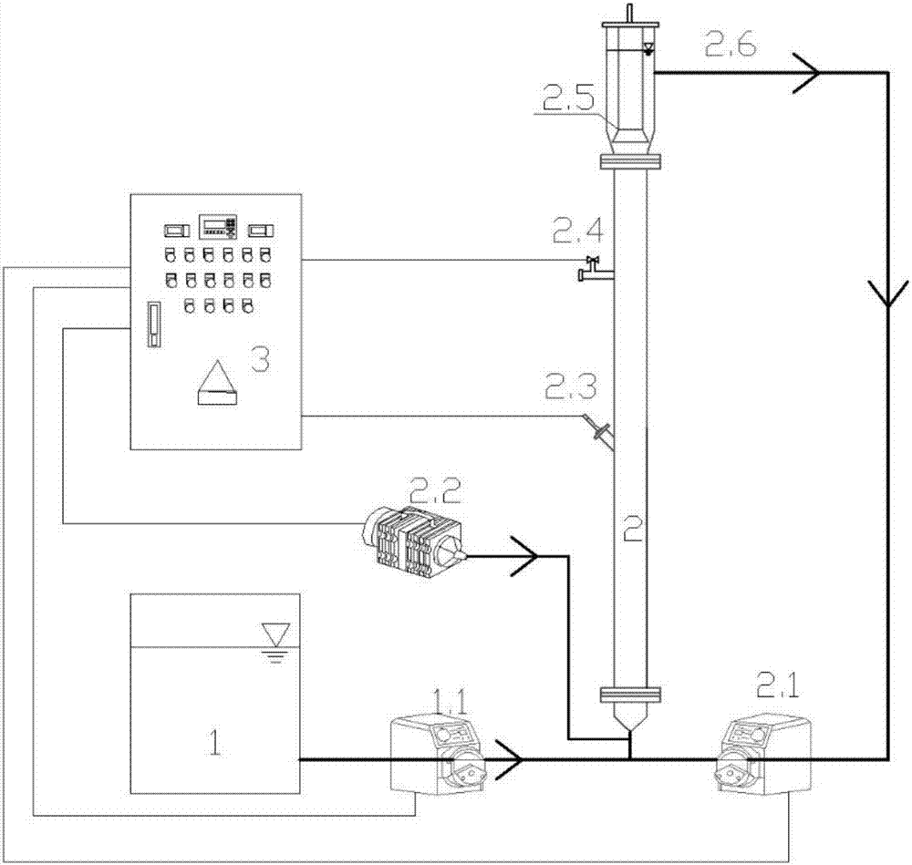 City sewage anaerobic ammoxidation autotrophic nitrogen removal apparatus based on granular sludge and method thereof