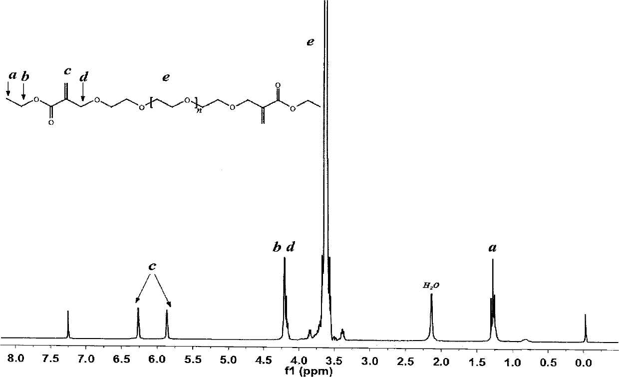 Polymer capable of performing addition reaction with thiol and having stable bonding hydrolysis