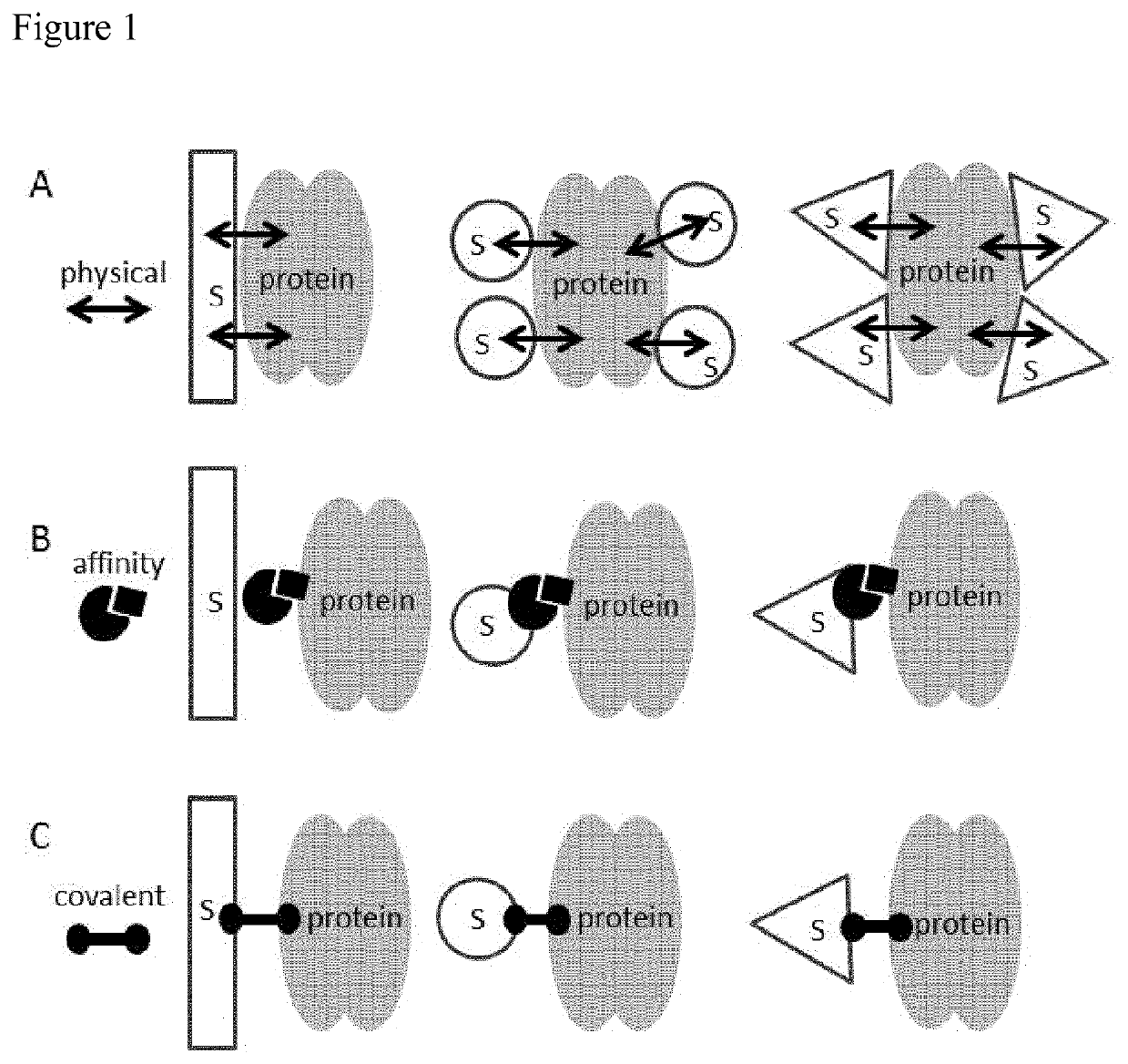 Immobilized poly(n)polymerase