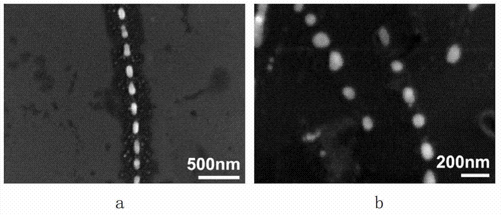 Preparation method for silver nanoparticle chain