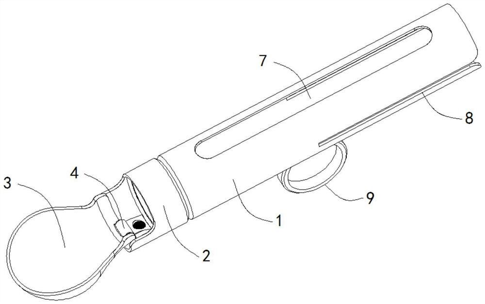 Medicine feeding auxiliary device for pediatric nursing