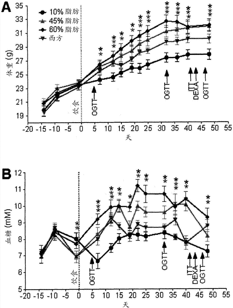 Pancreatic endocrine progenitor cell therapies for the treatment of obesity and type 2 diabetes (T2D)