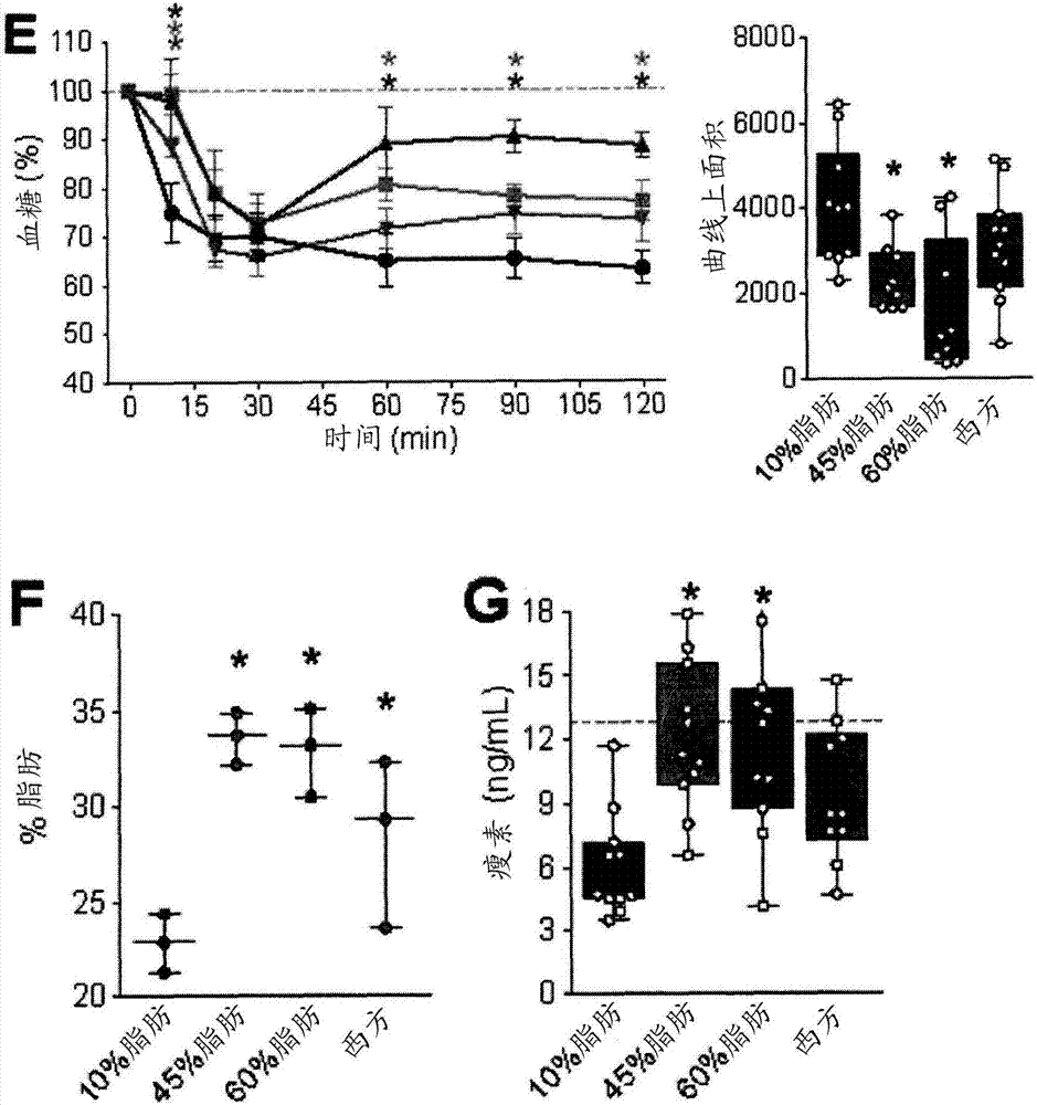 Pancreatic endocrine progenitor cell therapies for the treatment of obesity and type 2 diabetes (T2D)