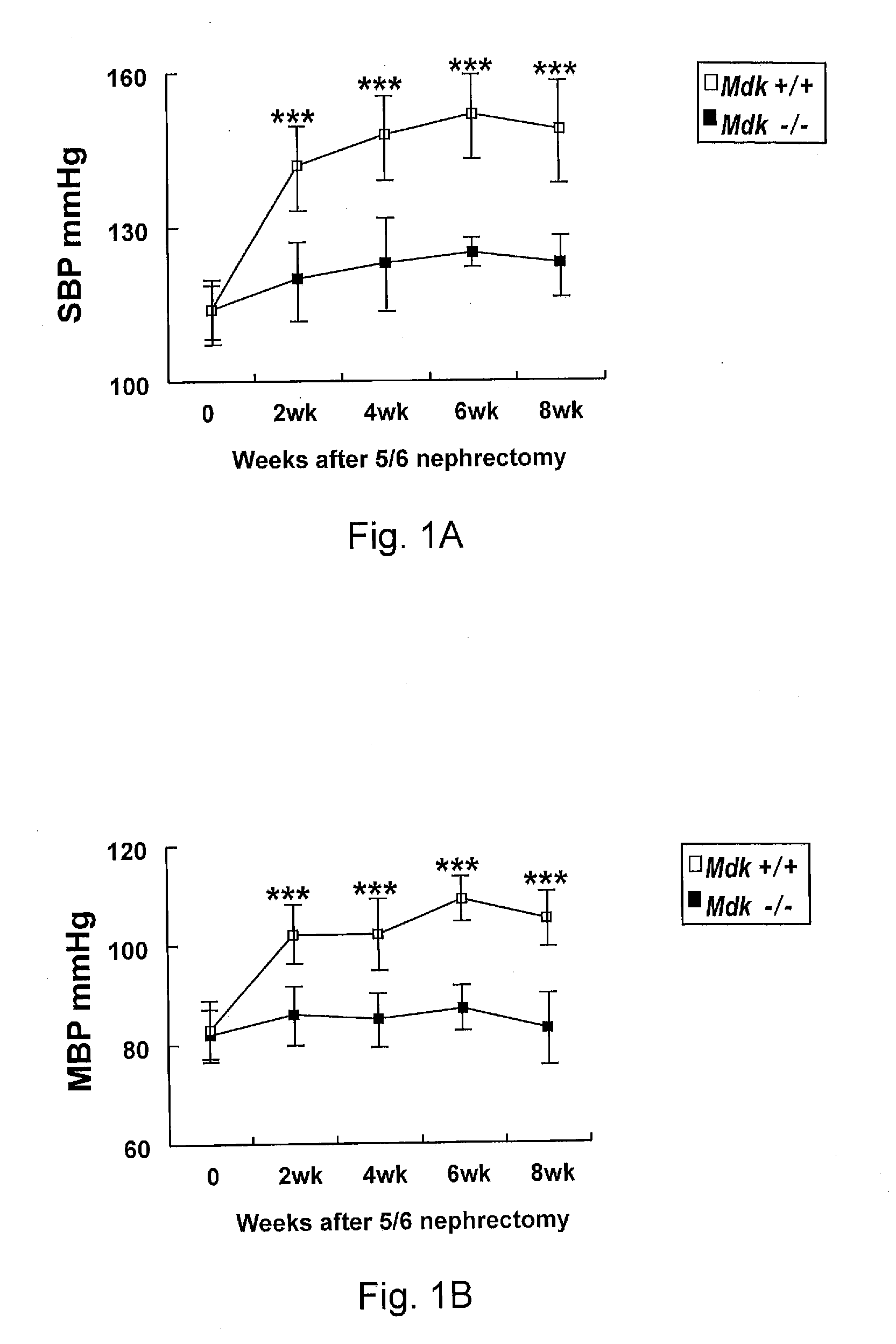 Therapeutic Method Targeting Midkine