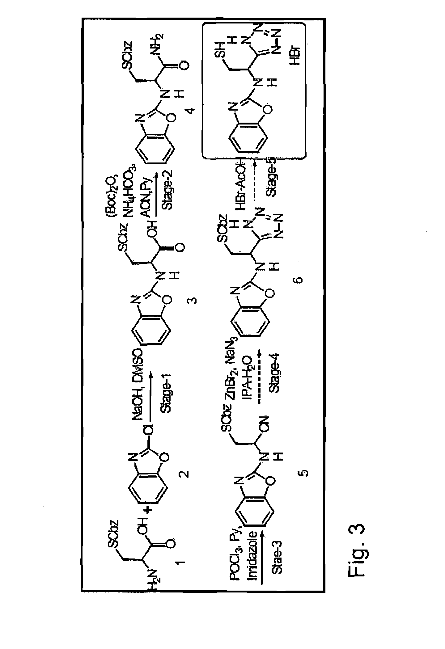 S-Nitrosothiol Compounds and Related Derivatives
