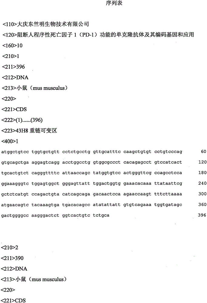 Monoclonal antibody with function of blocking human programmed death factors 1 (PD-1), encoding gene of monoclonal antibody and application thereof