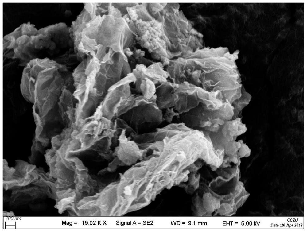 A kelp-shaped mn-fe double metal oxide loaded ceo  <sub>2</sub> Catalyst and preparation method and application