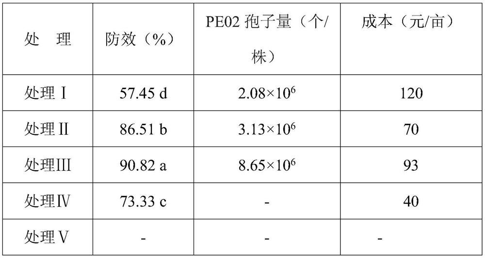 Biocontrol bacterium strain for antagonizing phytophthora nicotianae, field propagation method of fungicide of biocontrol bacterium strain and application of fungicide