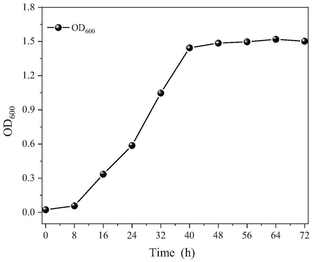 Efficient deodorizing bacteria and application thereof