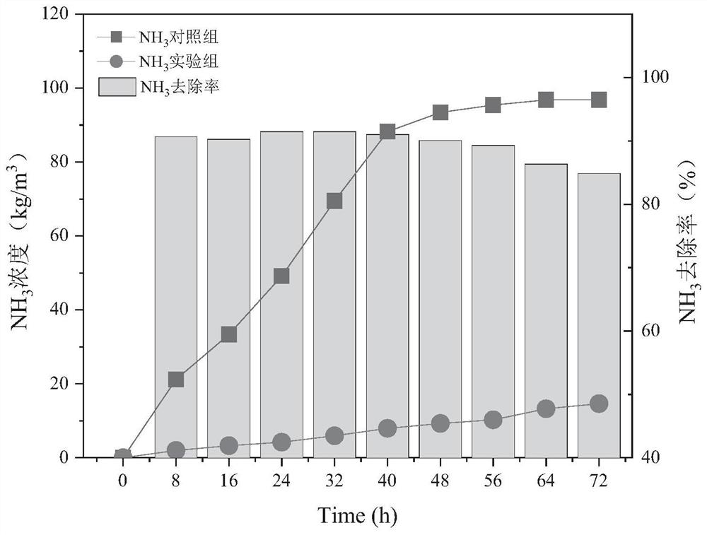 Efficient deodorizing bacteria and application thereof