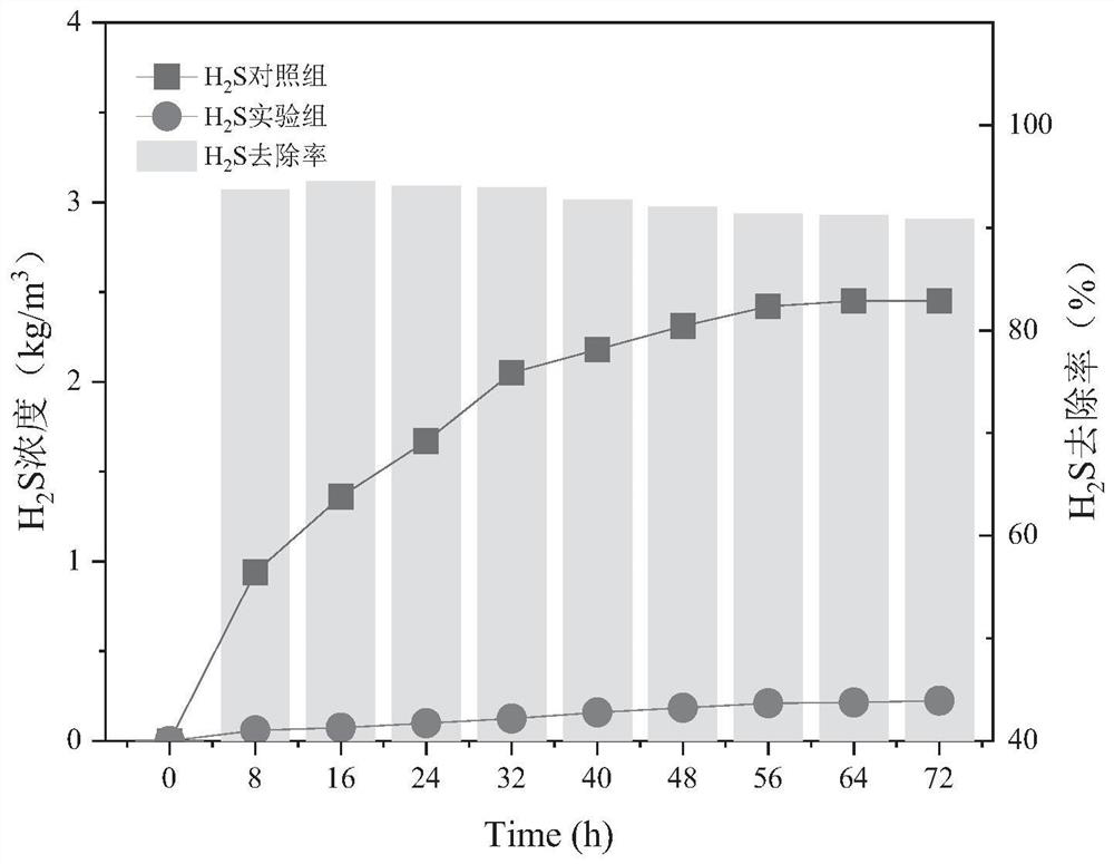 Efficient deodorizing bacteria and application thereof