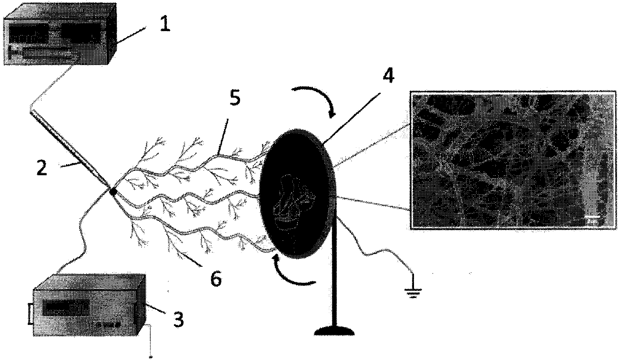 Antibacterial waterproof moisture-permeable nano fiber membrane and preparation method thereof