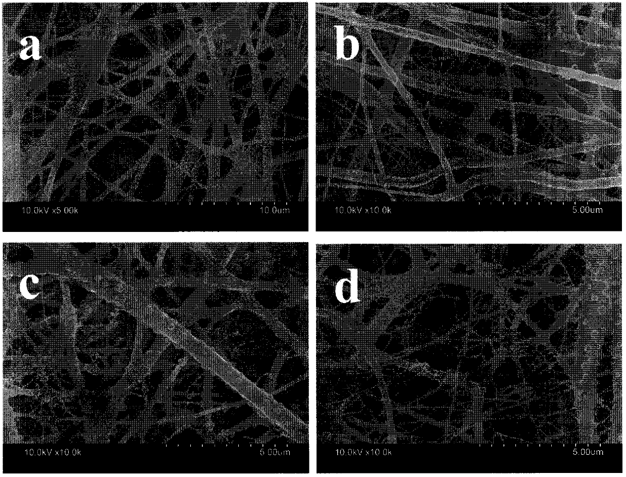 Antibacterial waterproof moisture-permeable nano fiber membrane and preparation method thereof