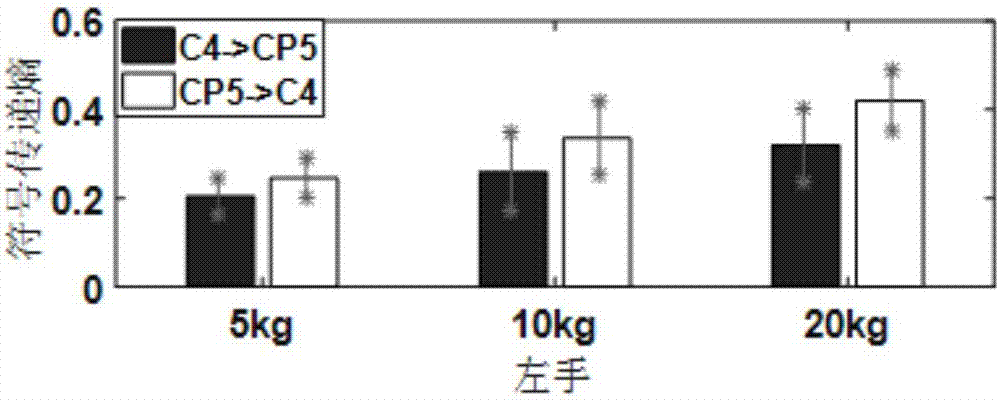 Brain section coupling analysis method based on synchronous screening