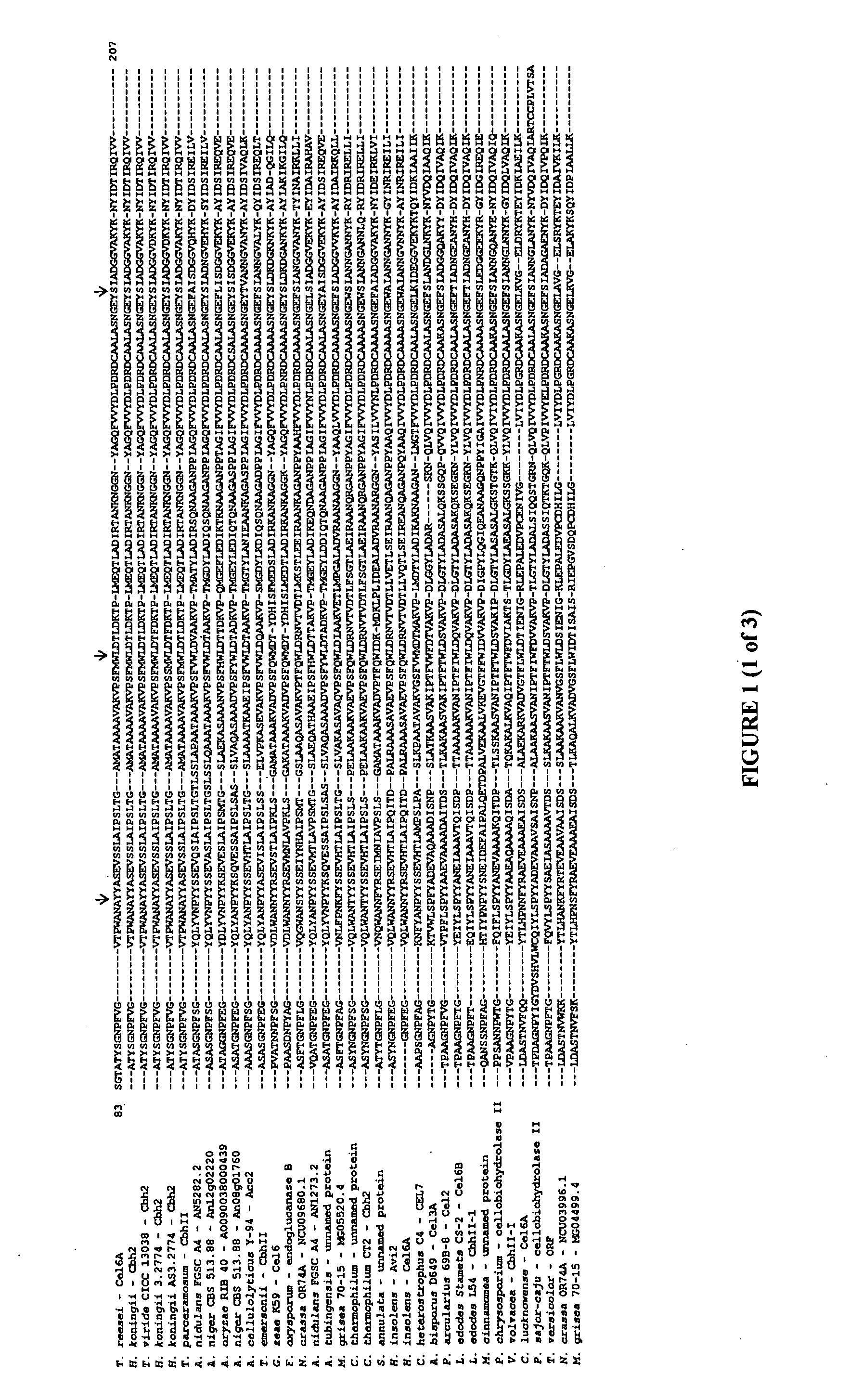 Cellulase variants with reduced inhibition by glucose