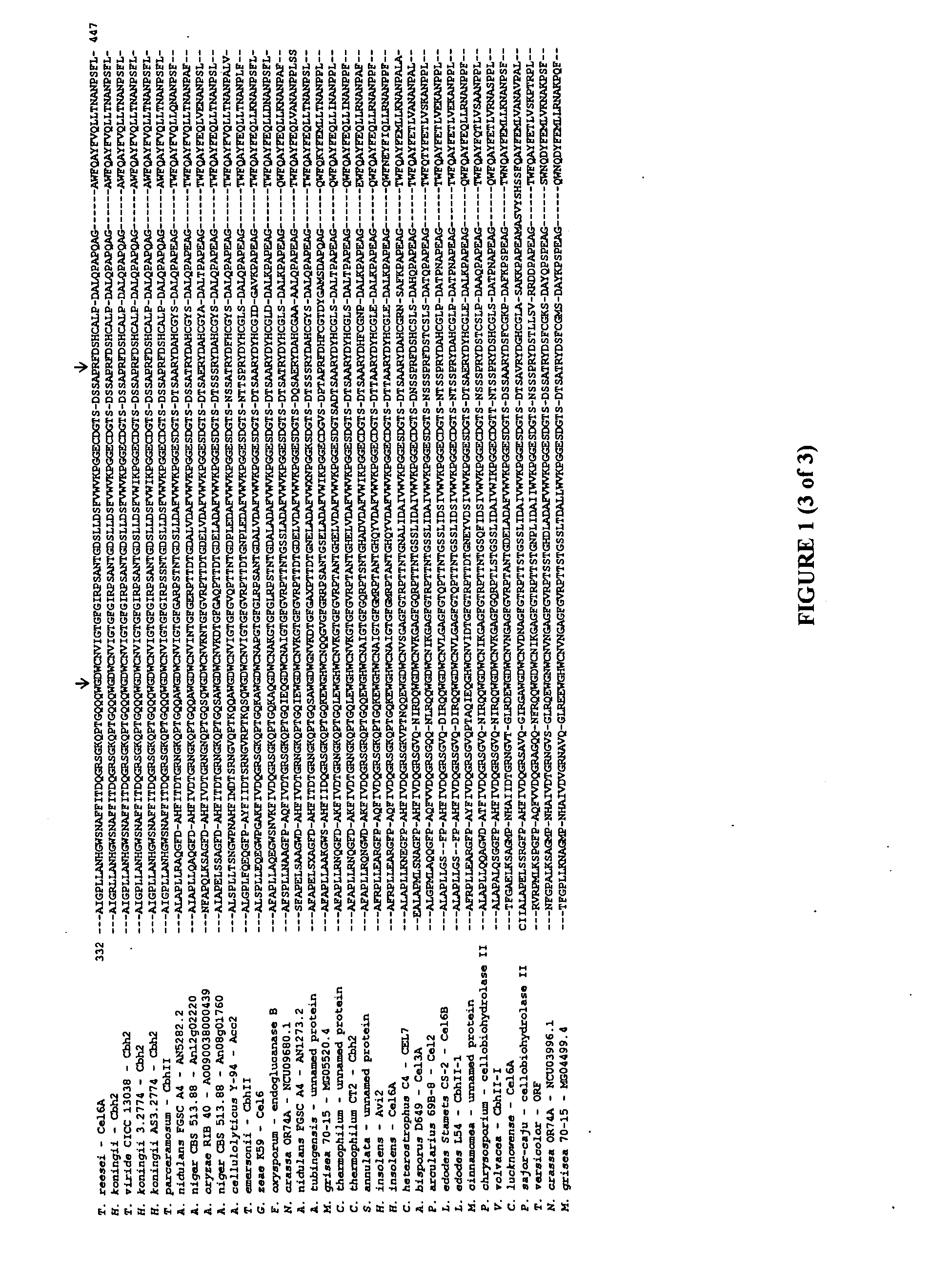 Cellulase variants with reduced inhibition by glucose