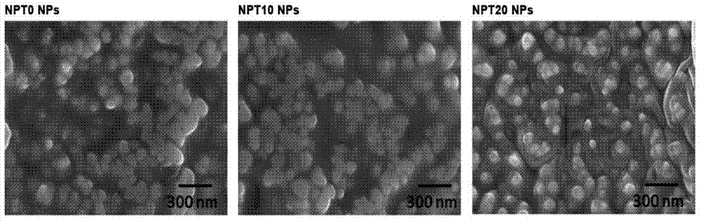 Application of vitamin E TPGS (d-alpha tocopheryl polyethylene glycol 1000 succinate) in preparing porous drug carrier particles