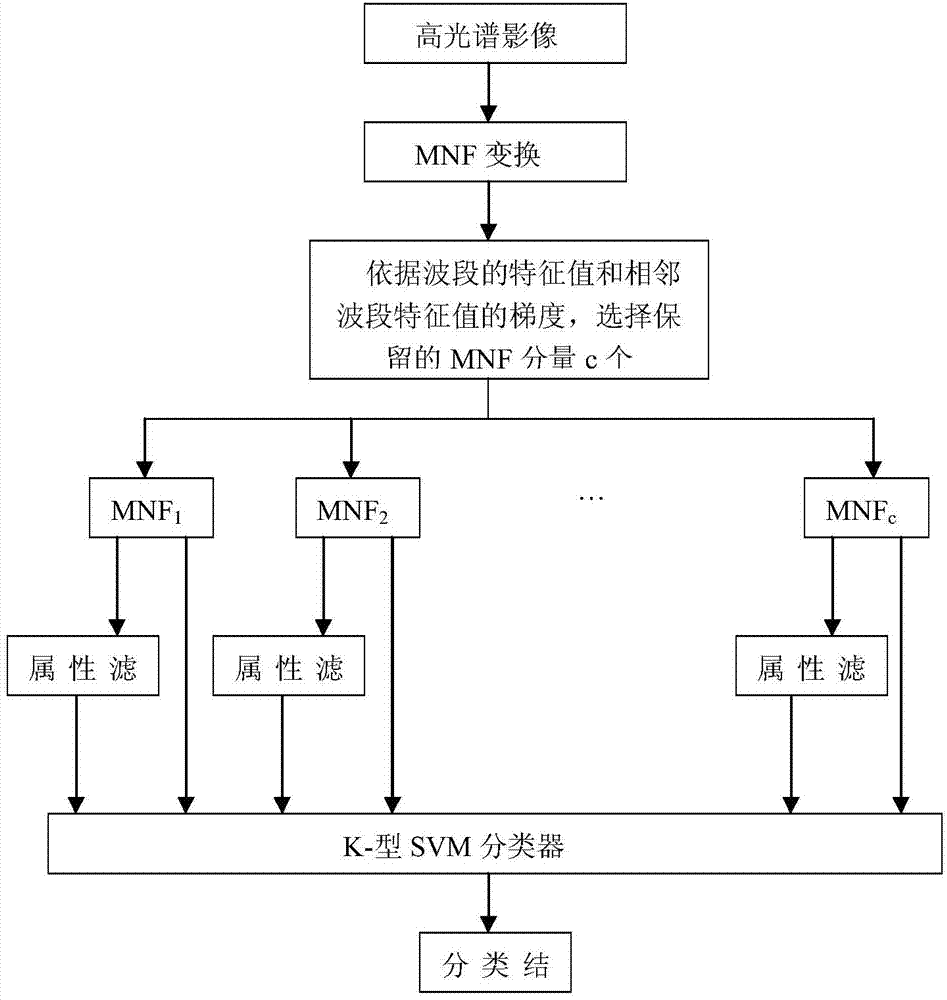 Hyperspectral image classification method based on MNF (Minimum Noise Fraction) transform in combination with extended attribute filtering