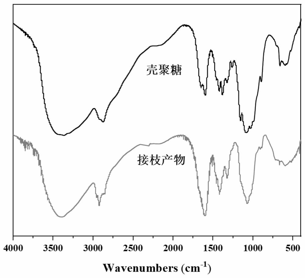 Modified carboxymethyl chitosan quaternary ammonium salt and preparation method thereof