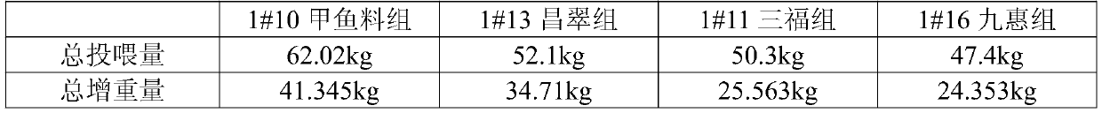 Directional cultivation method applied to ingot-grade blood parrot cichlid and application