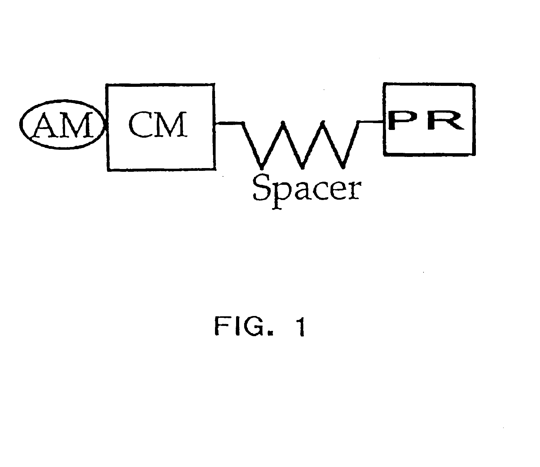 Polymerase signaling assay