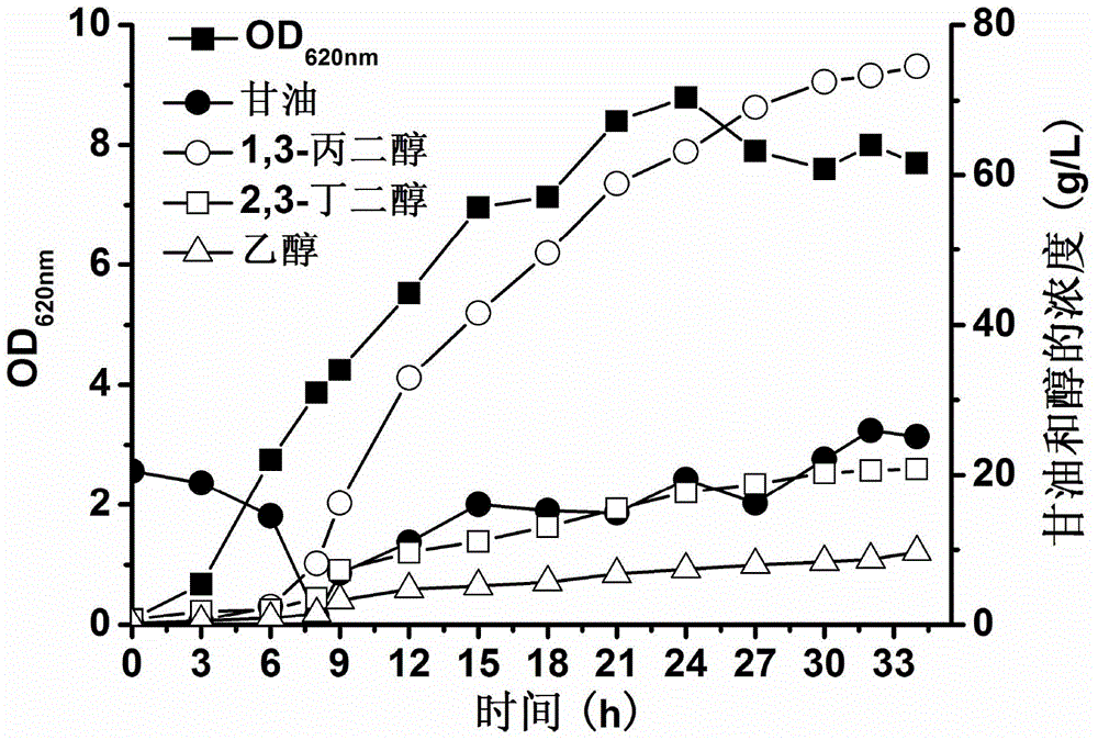 Engineered bacterium lacking organic acid production paths and use thereof in co-production of 1,3-propanediol, 2,3-butanediol and ethanol