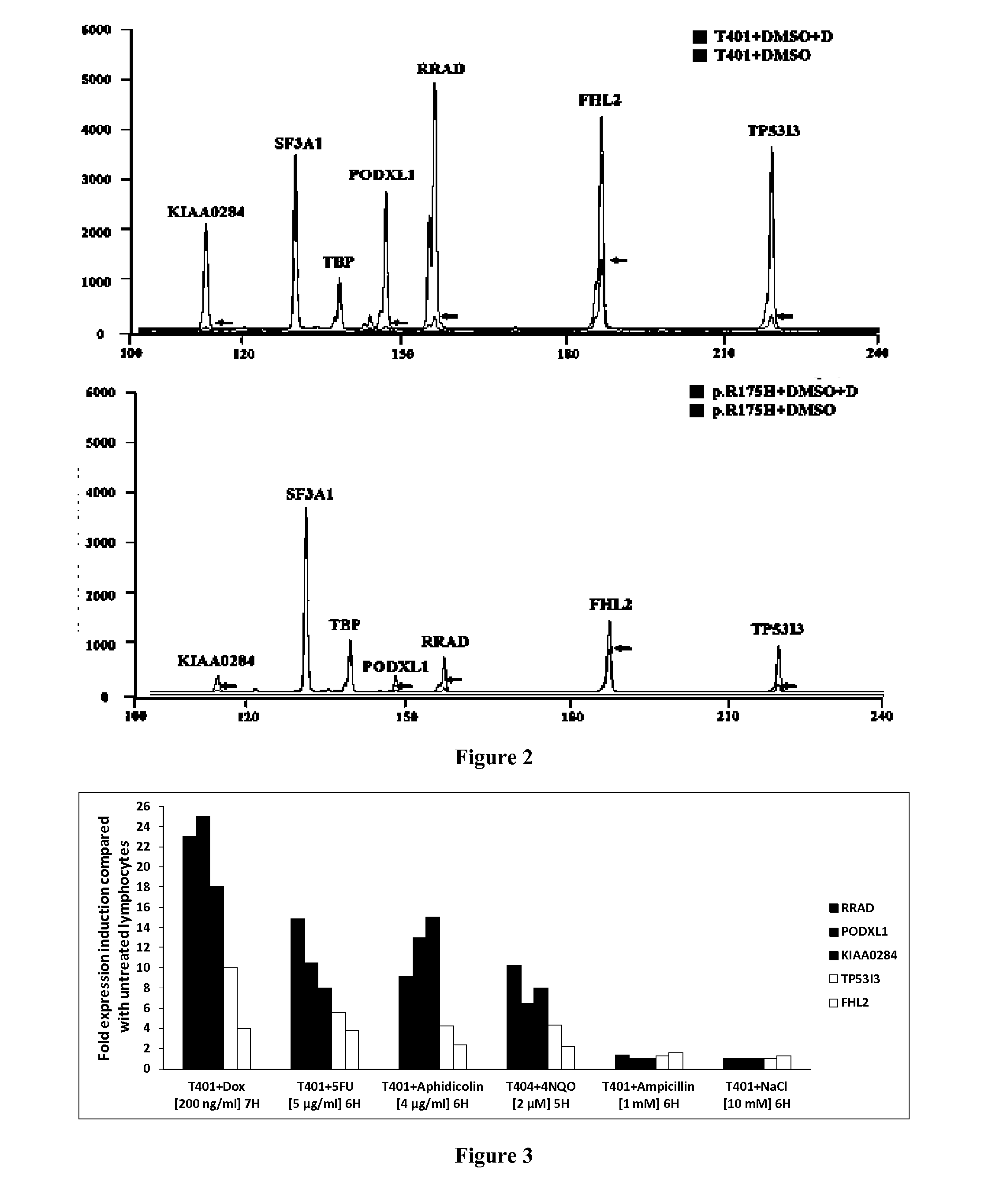 Methods and kits for testing the genotoxicity of an agent