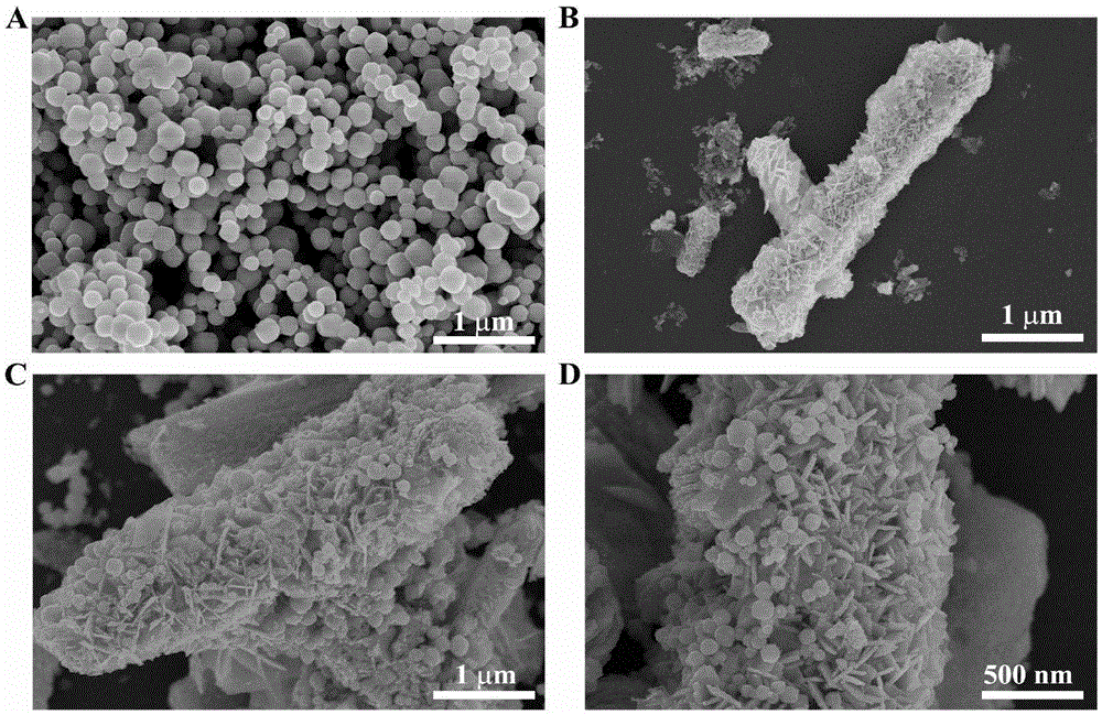 Bi2WO6/Ag3PO4 heterojunction composite photocatalyst and preparation method and application thereof