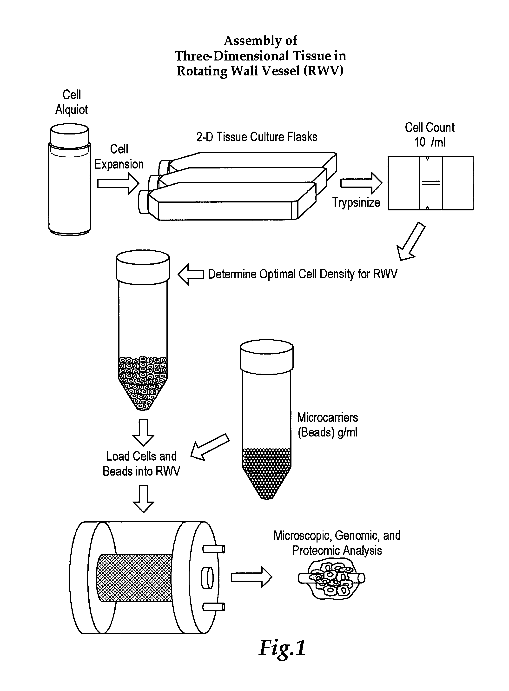 Engineered human broncho-epithelial tissue-like assemblies