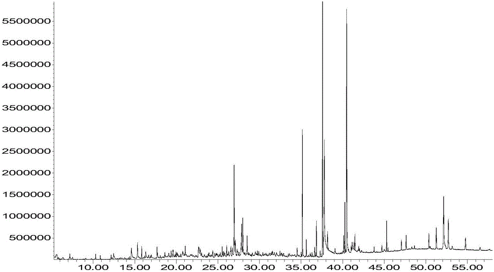 Euonymus japonicus essential oil and preparing method and application thereof