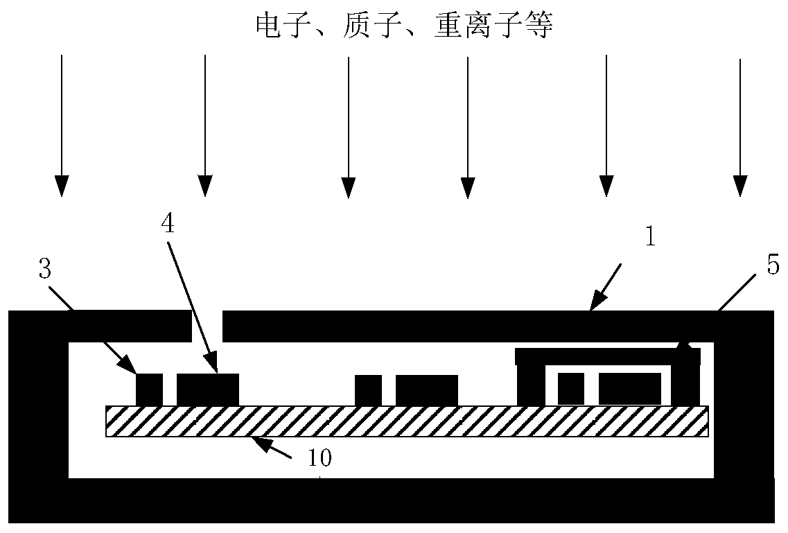 Detection device of on-orbit radiation risk of spacecraft