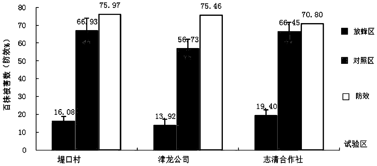 Method of releasing mixed Trichogramma species to control corn borer and cotton bollworm