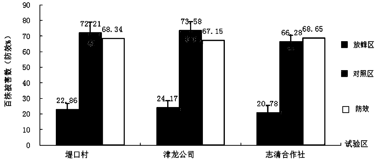 Method of releasing mixed Trichogramma species to control corn borer and cotton bollworm