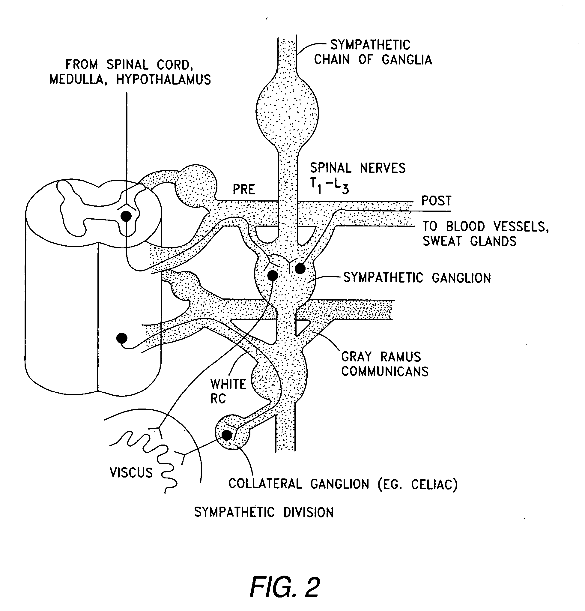 Dynamic nerve stimulation employing frequency modulation