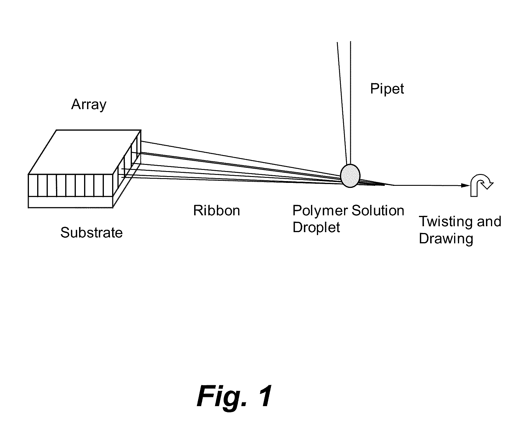 Carbon nanotube fiber spun from wetted ribbon