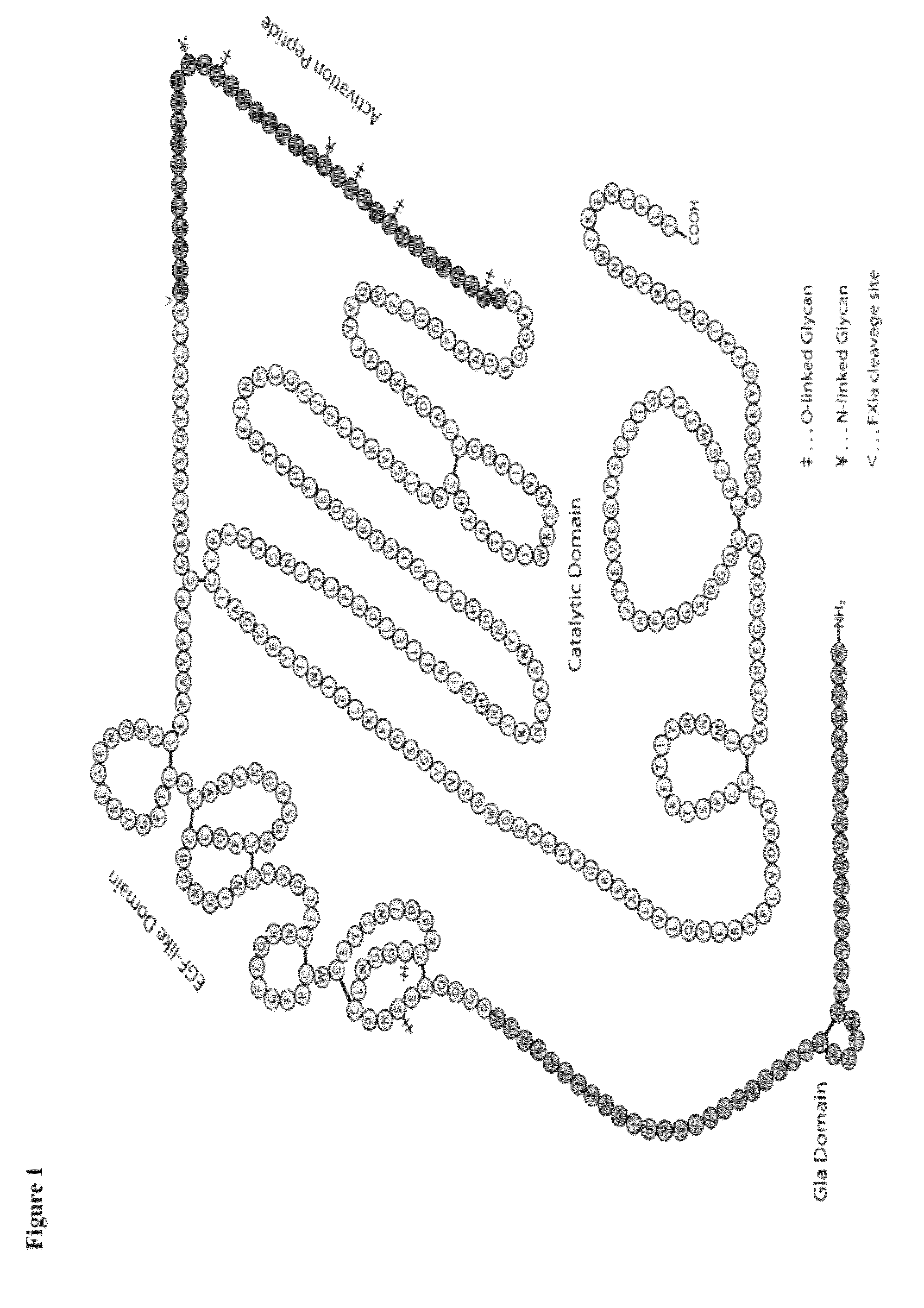 Nucleophilic catalysts for oxime linkage