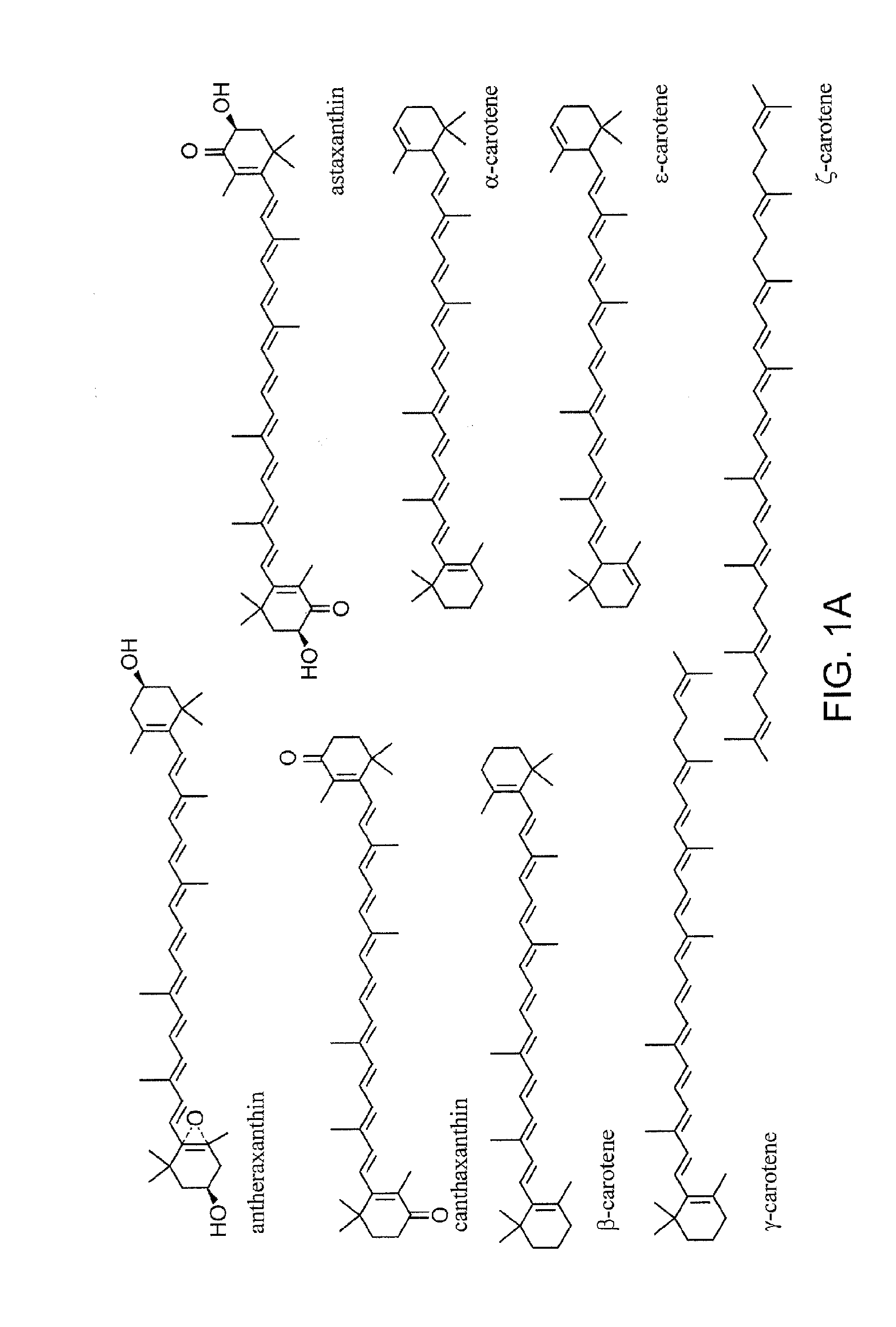 Production of carotenoids in oleaginous yeast and fungi