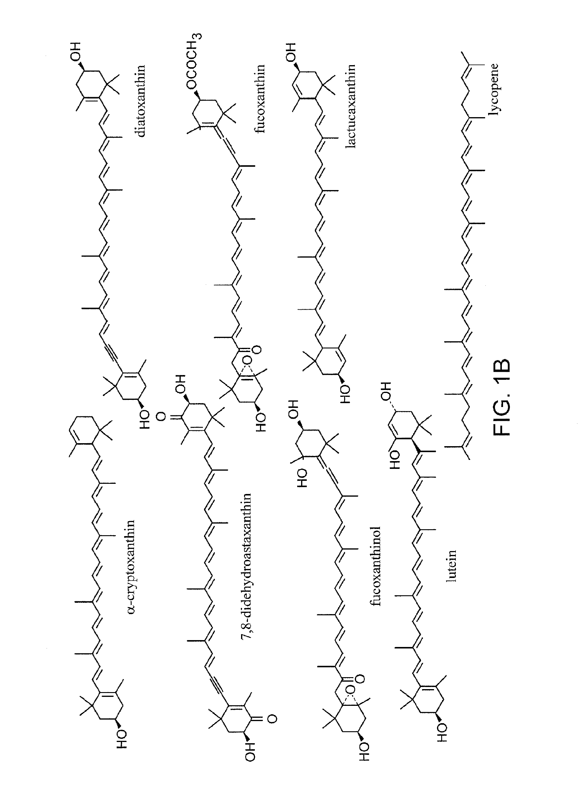 Production of carotenoids in oleaginous yeast and fungi