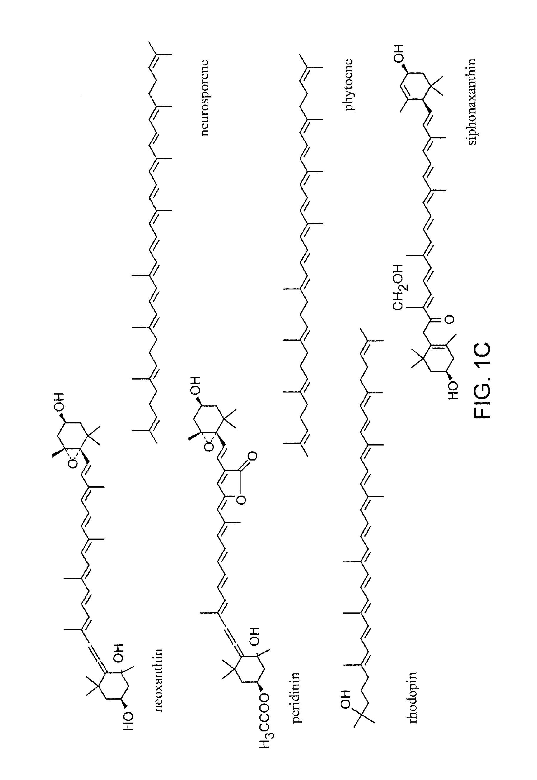 Production of carotenoids in oleaginous yeast and fungi