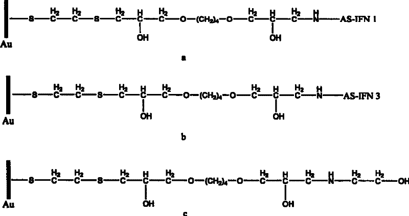 Biologic sensor for detecting human beta interferon and its special polypeptide