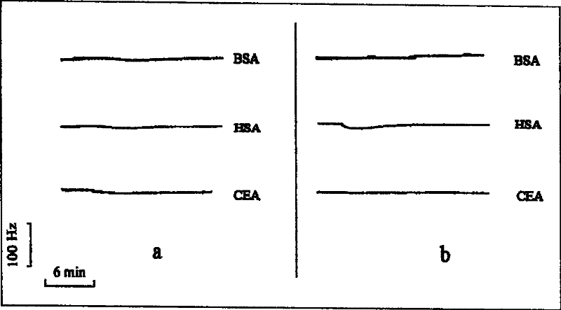 Biologic sensor for detecting human beta interferon and its special polypeptide