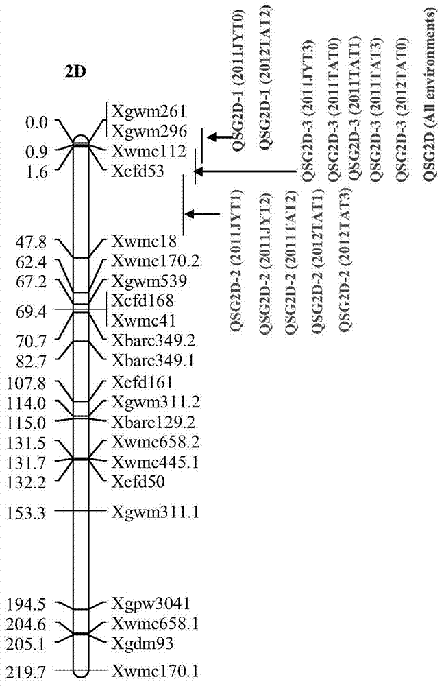 Detection primers for molecular markers in close linkage with major QTL of wheat ear length and application of detection primers