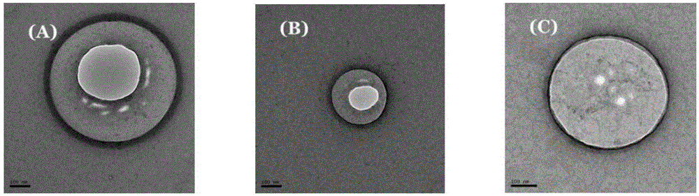 Drug liposome/p53 gene compound and preparation method and application thereof