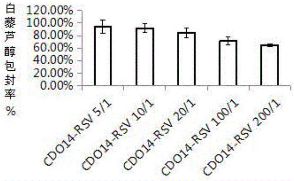 Drug liposome/p53 gene compound and preparation method and application thereof