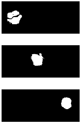 Image detecting method for grading of tomatoes