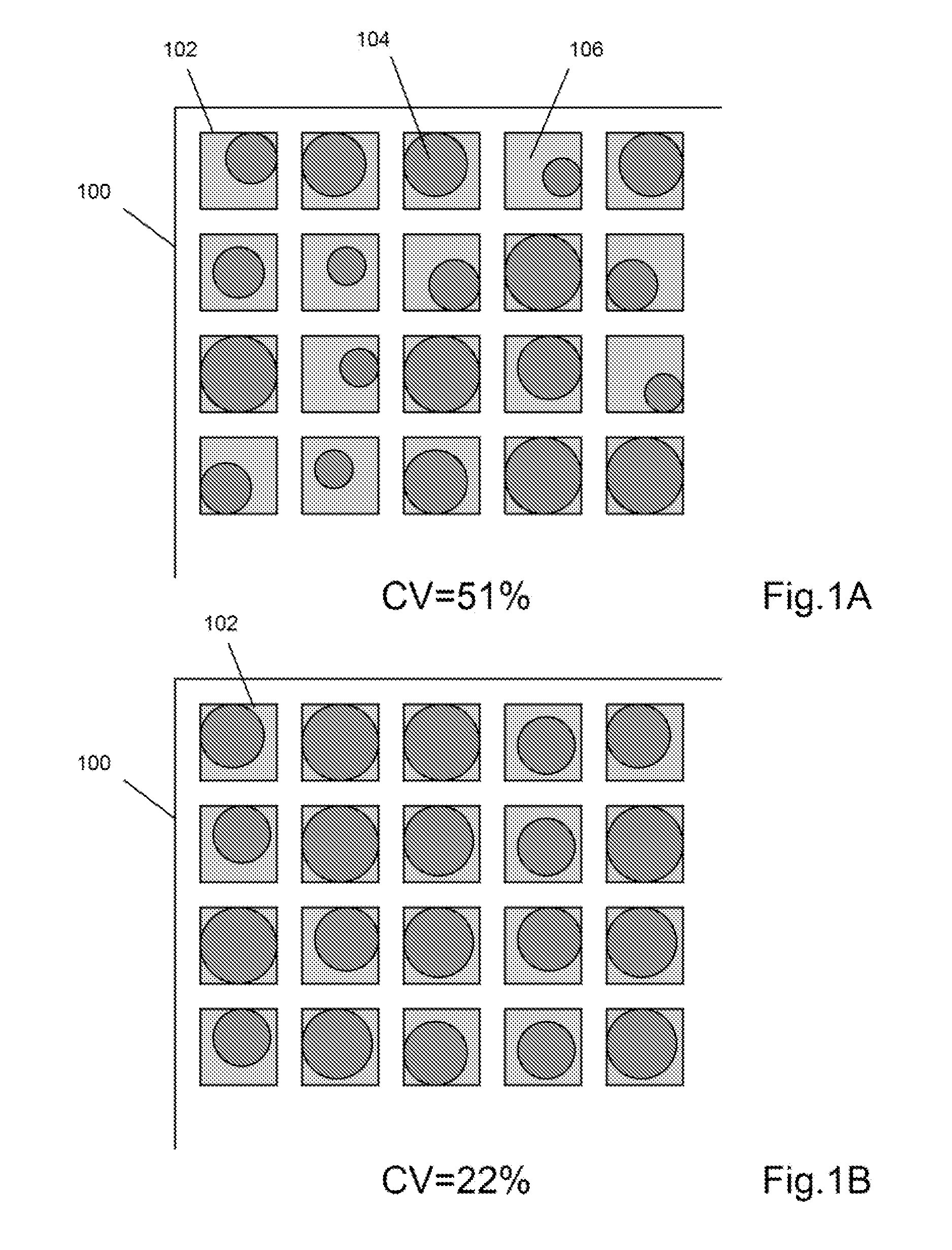 Scaffolded Nucleic Acid Polymer Particles and Methods of Making and Using