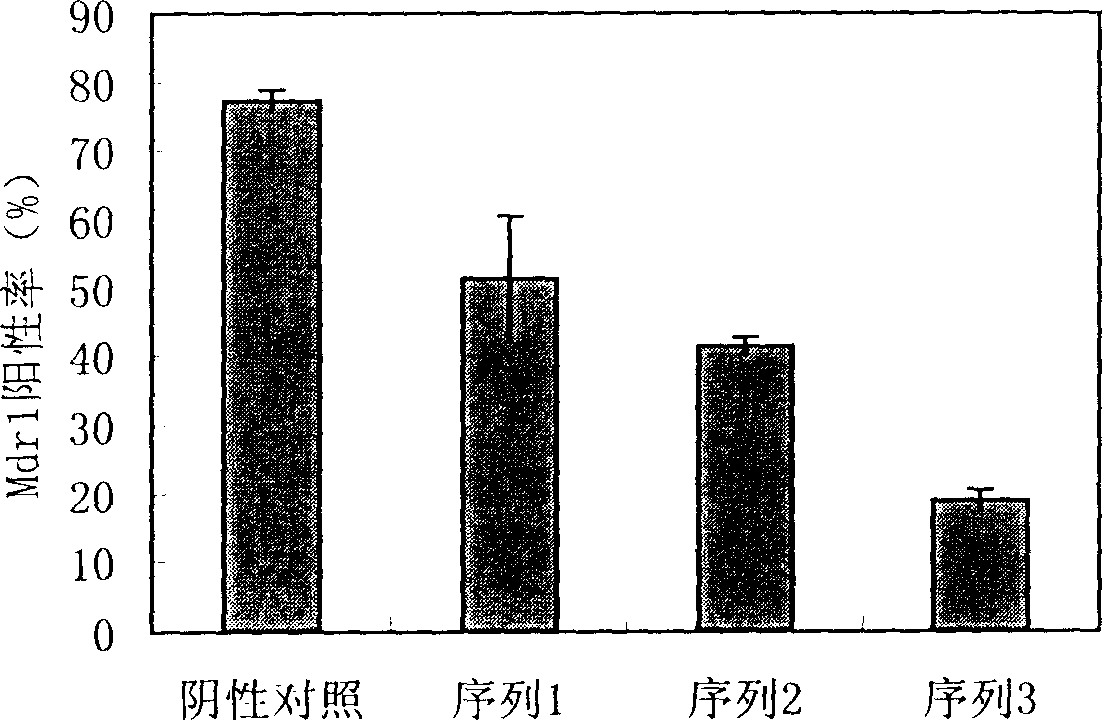 Multi-medicine medicine-resistant RNA interference medicine for resisting tumor