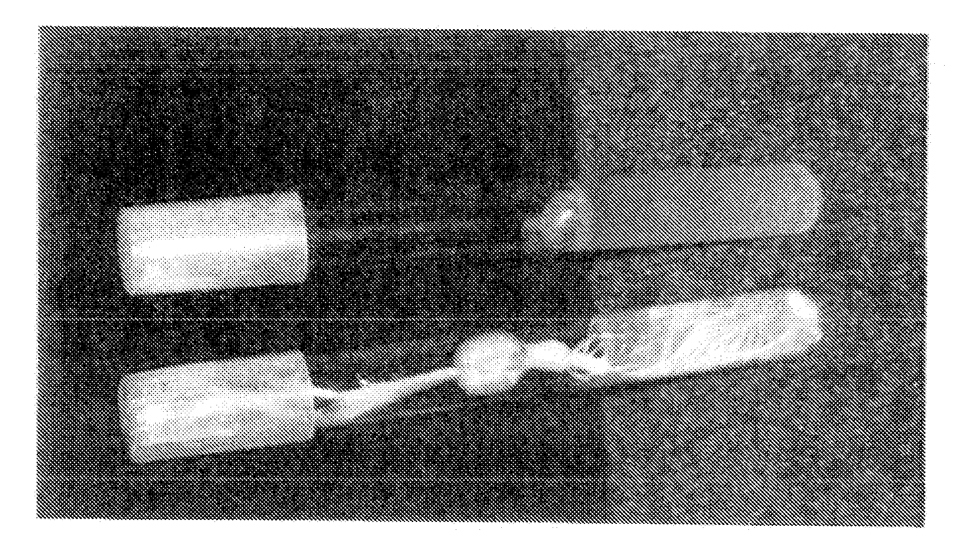 Method and Composition for Clearing Sewer Lines of Roots Utilizing Herbicides and Bacteria