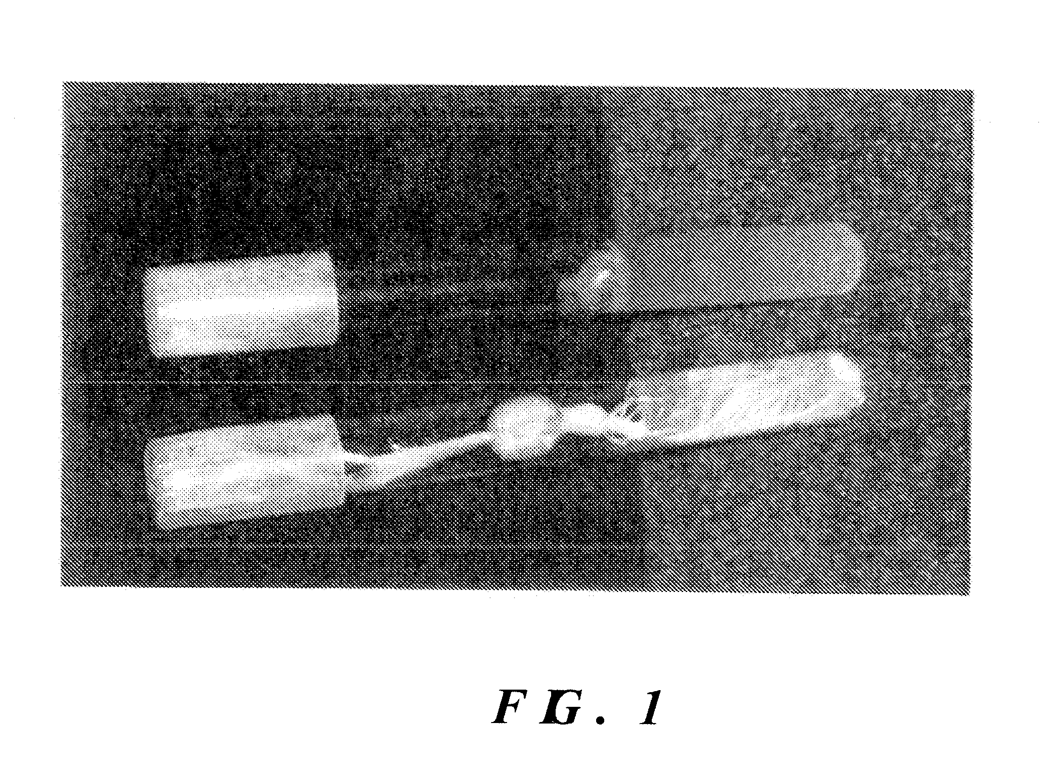 Method and Composition for Clearing Sewer Lines of Roots Utilizing Herbicides and Bacteria