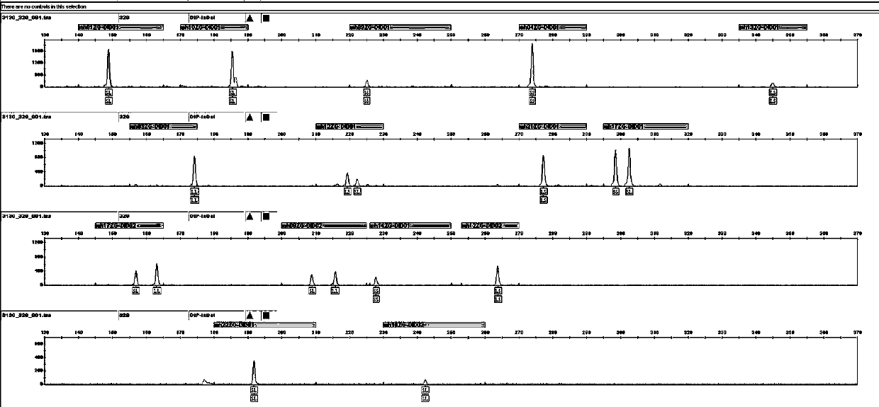 Human DIP-InDel locus fluorescent labeling kit and detection method thereof